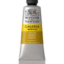 Winsor & Newton 2120744 Galeria Acrylic Paint, 60-ml Tube, Yellow Ochre, 2 Fl Oz