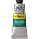 Winsor & Newton 2120482 Galeria Acrylic Paint, 60-ml Tube, Permanent Green Deep, 2 Fl Oz