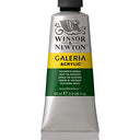 Winsor & Newton Galeria Acrylic Paint, 2 Fl Oz (Pack of 1), Hookers Green