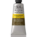 Winsor & Newton - 2120554 Galeria Acrylic Paint, 60-ml Tube, Raw Umber, 2 Fl Oz