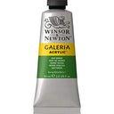 Winsor & Newton Galeria Acrylic Paint, 2 Fl Oz (Pack of 1), Sap Green