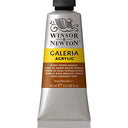 Winsor & Newton Galeria Acrylic Paint, 60-ml Tube, Burnt Sienna Opaque, 2 Fl Oz