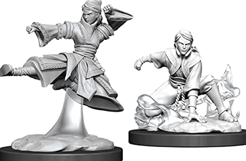 WizKids D&D Nolzurs Marvelous Upainted Miniatures: Wave 11: Female Human Monk