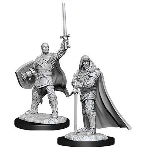 Dungeons & Dragons Nolzur's Marvelous Unpainted Miniatures: Human Paladin (Male)