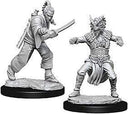 D&D Nolzurs Marvelous Unpainted Miniatures: Wave 8: Human Male Monk