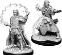 WizKids D&D Nolzurs Marvelous Upainted Miniatures: Wave 11: Male Human Wizard