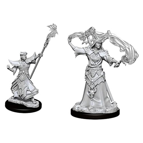 WizKids Pathfinder Deep Cuts Unpainted Miniatures: Wave 11: Male Human Sorcerer