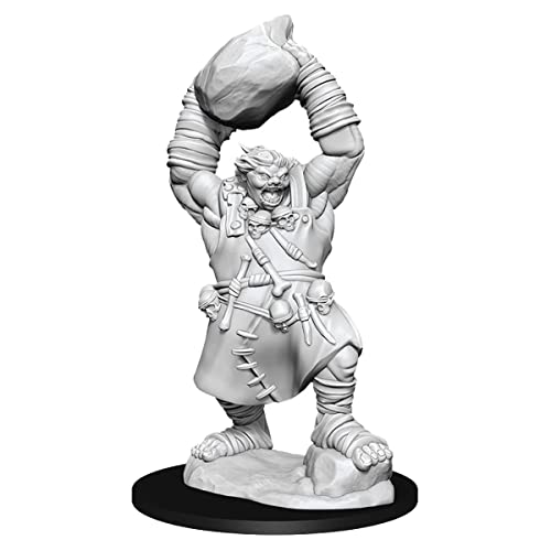 WizKids Pathfinder Deep Cuts Unpainted Miniatures: Wave 11: Ogre