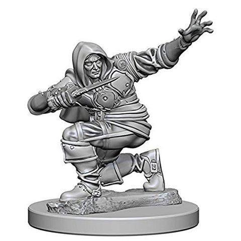 Pathfinder Deep Cuts Unpainted Miniatures: Wave 1: Human Male Rogue