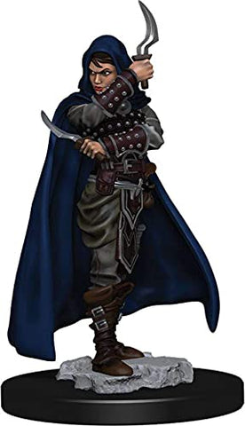 Pathfinder: Battles: Premium Painted Figures: Human Rogue Female