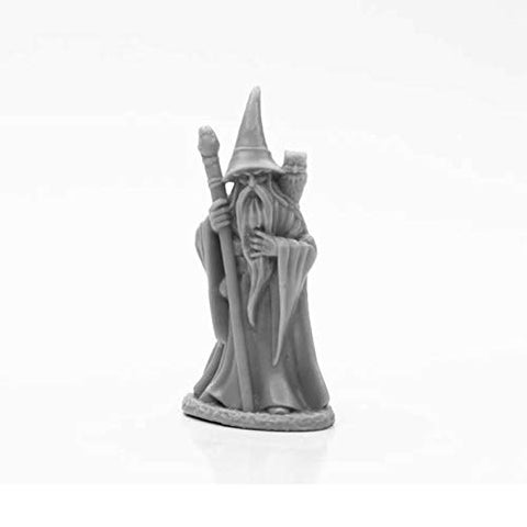 Anuminar Winterbeard Wizard Miniature 25mm Heroic Scale Figure Dark Heaven Bones Reaper Miniatures