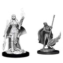 Pathfinder Deep Cuts Unpainted Miniatures: Wave 11: Female Human Oracle