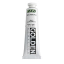 2 Oz Heavy Body Historical Hue Acrylic Paint Color: Terre Verte Hue