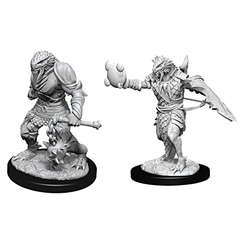 D&D Nolzur's Marvelous Unpainted Miniatures: Wave 11: Dragonborn Male Paladin