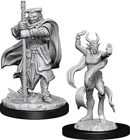 Dungeons & Dragons Nolzur's Marvelous Unpainted Miniatures: Hobgoblin Devastator & Iron Shadow